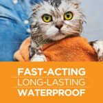 FirstAct Plus Flea and Tick Prevention for Cats 1.5 lbs and Over - Image 2