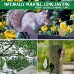 SUAVEC Squirrel Repellent Outdoor, for Garden - Image 3