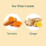 VAHDAM Turmeric Ginger Herbal Tea Bags (100 Count) - Image 2