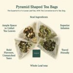 VAHDAM Turmeric Ginger Herbal Tea Bags (100 Count) - Image 3